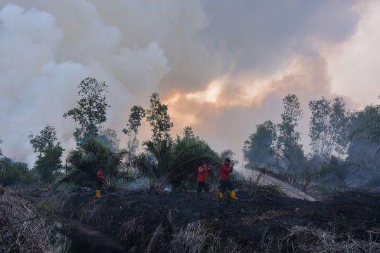 Inilah-Lima-Perusahaan-yang-Ditegur-terkait-Karhutla-Riau-doc.karhutla-ivoox.id_