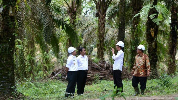 Selama-Empat-Tahun-Nilai-Ekspor-Produk-Pertanian-Indonesia-Mengalami-Peningkatan-Berlipat-doc.Pertanian-ivoox.id_