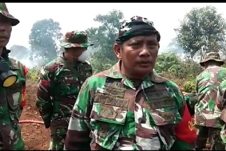 hutan
