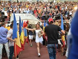 simona halep - trofi