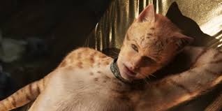 taylor swift - cats