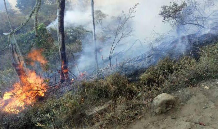 BNPB terus Upayakan Pemadaman Taman Nasional Gunung Ciremai