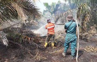 KLHK-TNI-dan-Polri-Padamkan-Kebakaran-Hutan-dan-Lahan-Karhutla-Di-Beberapa-Provinsi-Rawan-docpadamkan-ivoox.id_