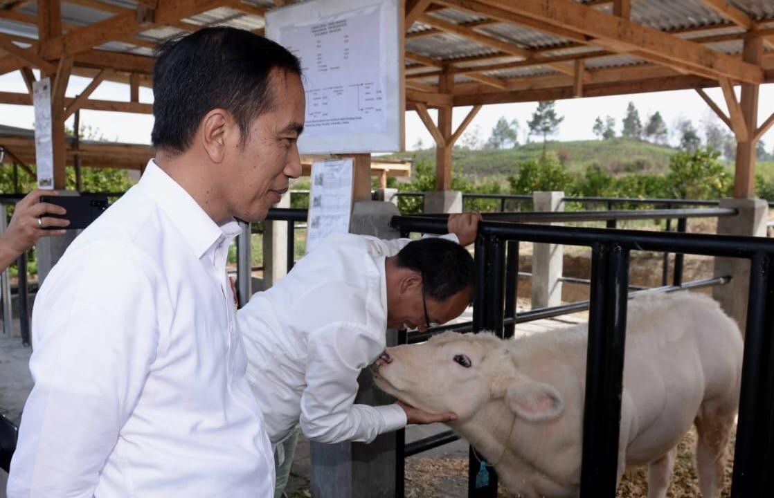 Presiden-Tinjau-Proyek-Peternakan-dan-Pertanian-di-Desa-Parsingguran-doc.pertenakan-persingguran-ivoox.id_