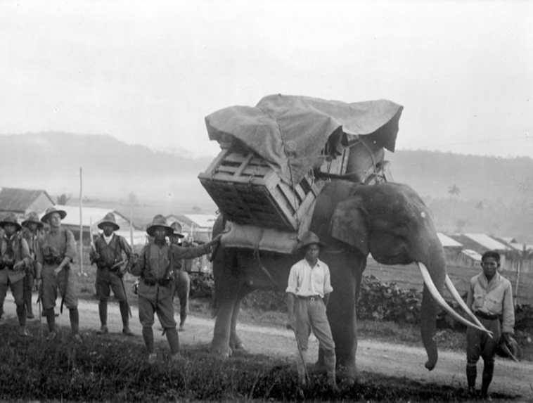 Sultan Iskandar Muda pada masa pemerintahannya begitu disegani karena memiliki Seribu Pasukan Gajah. Sumber- Tropenmuseum