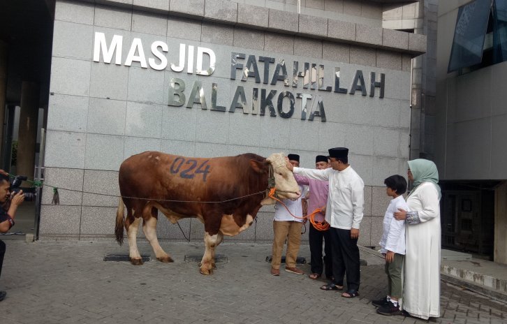 anies-sapi