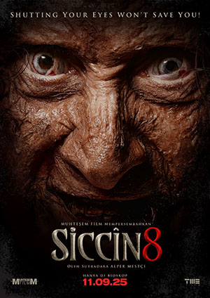 SICCIN 8