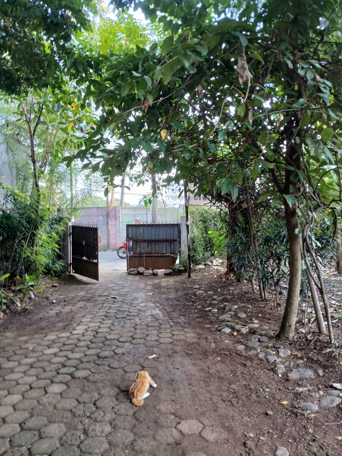 Dijual Tanah Kosong dan Ngantong Karang Tengah Dijual Tanah Kosong dan Ngantong Karang Tengah