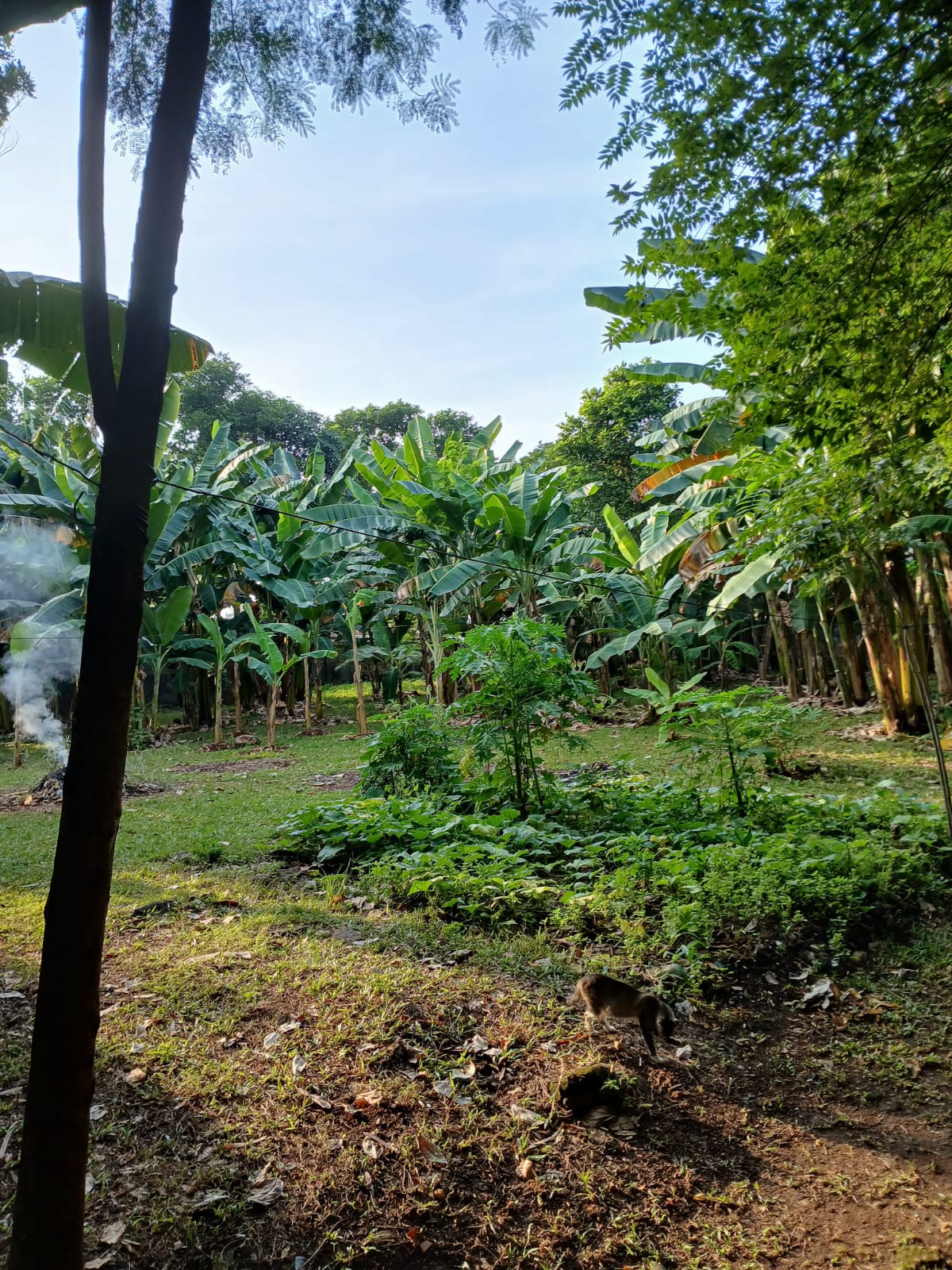 Dijual Tanah Kosong dan Ngantong Karang Tengah Dijual Tanah Kosong dan Ngantong Karang Tengah