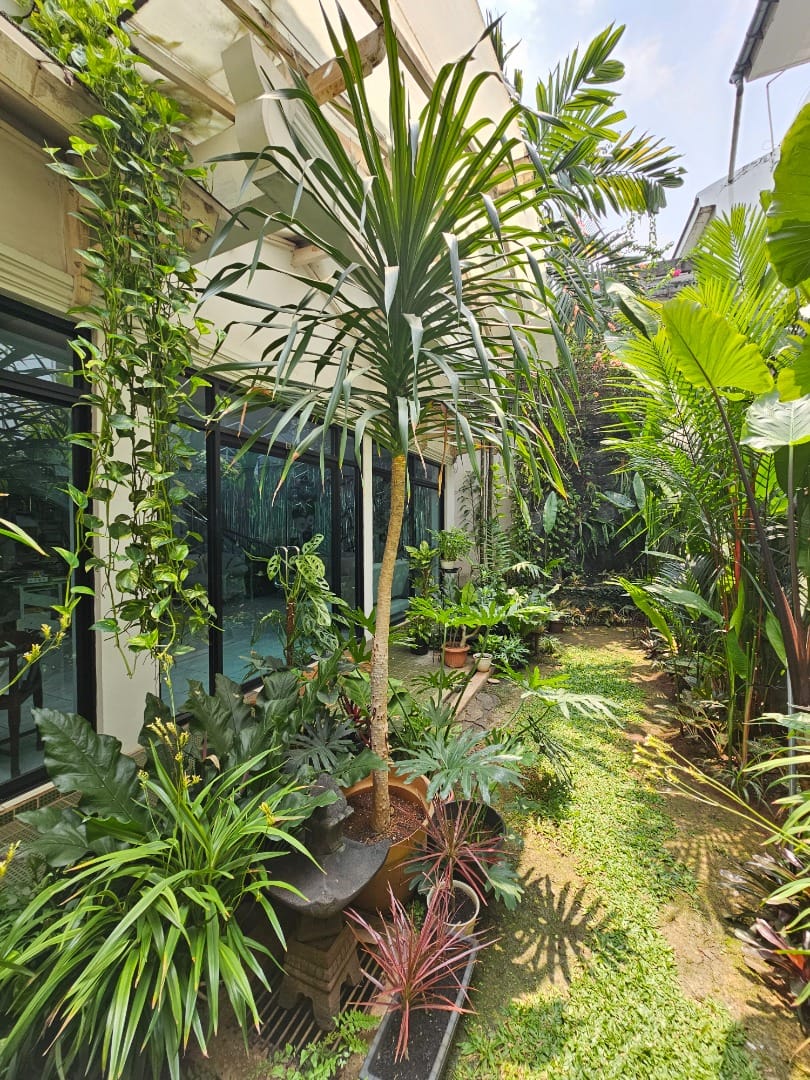 Taman Taman