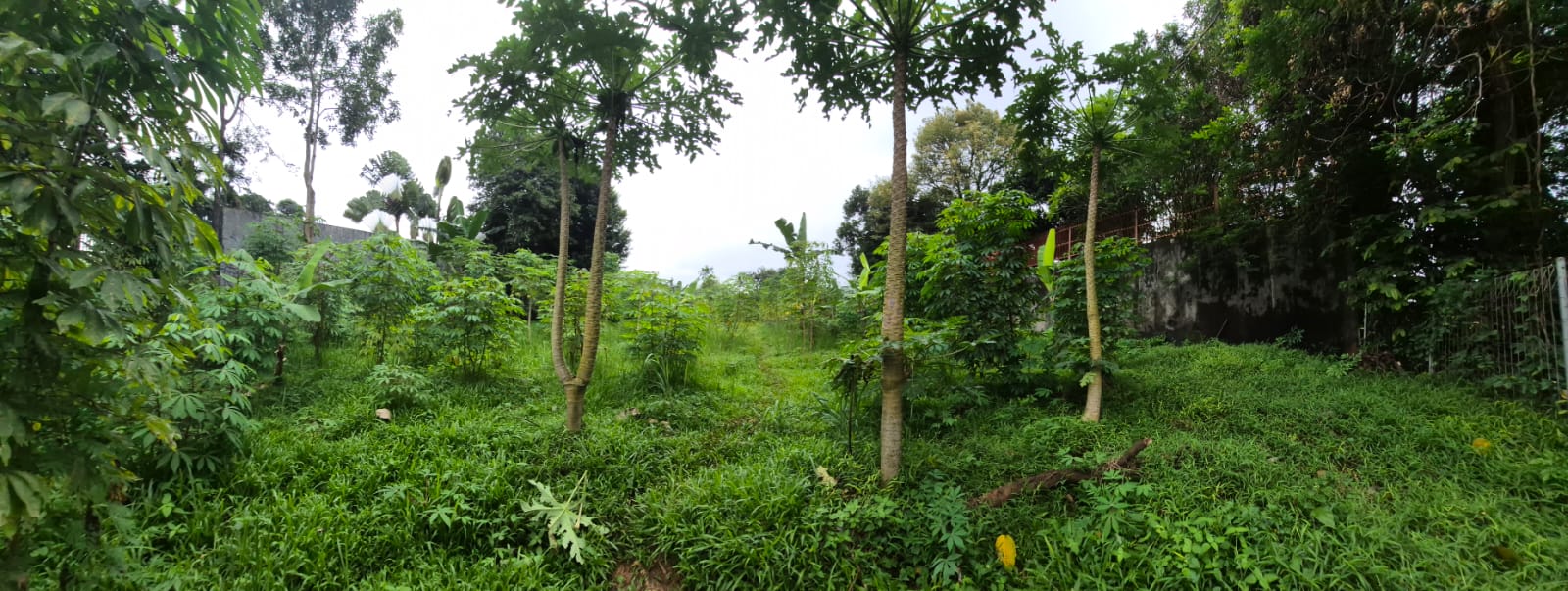 Dijual Lahan Bukit Golf Pondok Indah Dijual Lahan Bukit Golf Pondok Indah