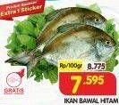 Promo Harga Ikan Bawal Hitam per 100 gr - Superindo