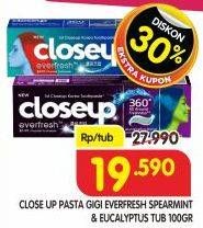 Promo Harga Close Up Pasta Gigi Everfresh Spearmint, Everfresh Eucalyptus 100 gr - Superindo