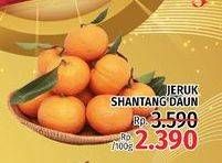Promo Harga Jeruk Shantang Daun per 100 gr - LotteMart