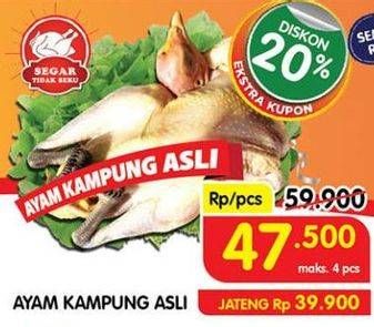 Promo Harga Ayam Kampung 600 gr - Superindo