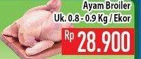 Promo Harga Ayam Broiler 900 gr - Hypermart