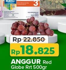 Promo Harga Anggur Red Globe RRT per 500 gr - Yogya