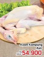 Promo Harga Ayam Kampung 500 gr - LotteMart