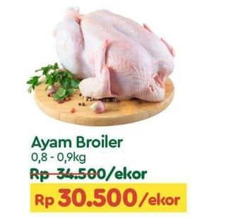 Promo Harga Ayam Broiler 800 gr - TIP TOP