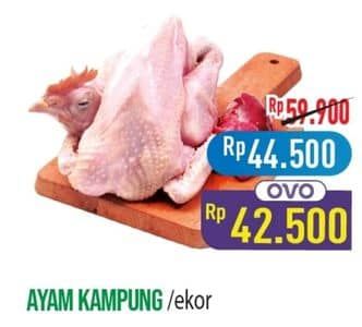 Ayam Kampung