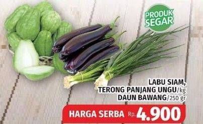 Promo Harga Labu Siam, Terong Panjang Ungu/kg, Daun Bawang/250g  - Lotte Grosir