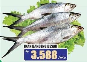 Promo Harga Ikan Bandeng Besar per 100 gr - Hari Hari