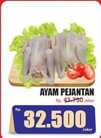 Promo Harga Ayam Pejantan 500 gr - Hari Hari