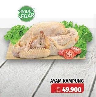 Promo Harga Ayam Kampung  - Lotte Grosir