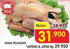 Promo Harga Ayam Pejantan  - Superindo