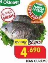 Promo Harga Ikan Gurame per 100 gr - Superindo