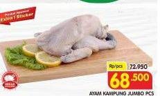 Promo Harga Ayam Kampung Jumbo  - Superindo