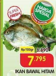 Promo Harga Ikan Bawal Hitam per 100 gr - Superindo