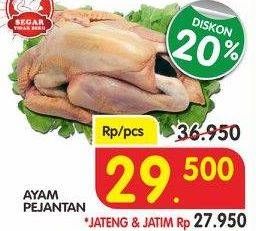 Promo Harga Ayam Pejantan  - Superindo