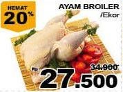 Promo Harga Ayam Broiler  - Giant