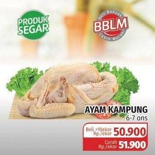 Promo Harga Ayam Kampung  - Lotte Grosir