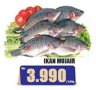 Promo Harga Ikan Mujair per 100 gr - Hari Hari