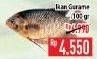 Promo Harga Ikan Gurame per 100 gr - Hypermart