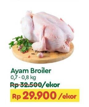 Promo Harga Ayam Broiler 700 gr - TIP TOP