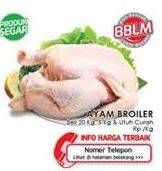 Promo Harga Ayam Broiler  - LotteMart