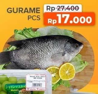 Promo Harga Ikan Gurame  - Yogya