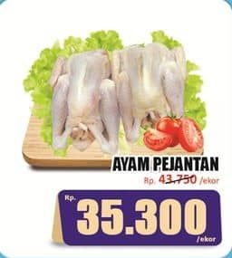 Promo Harga Ayam Pejantan 500 gr - Hari Hari
