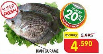 Promo Harga Ikan Gurame per 100 gr - Superindo