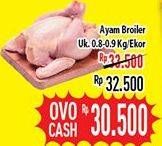 Promo Harga Ayam Broiler  - Hypermart