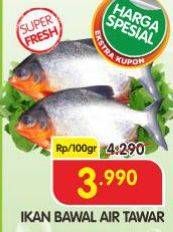 Promo Harga Ikan Bawal Tawar per 100 gr - Superindo