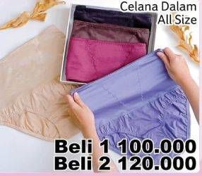 Promo Harga Celana Dalam Wanita All Variants per 2 pcs - Giant