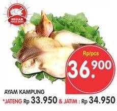 Promo Harga Ayam Kampung  - Superindo