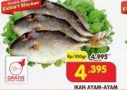 Promo Harga Ikan Ayam-Ayam per 100 gr - Superindo