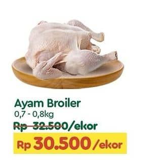 Promo Harga Ayam Broiler 700 gr - TIP TOP