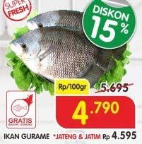 Promo Harga Ikan Gurame per 100 gr - Superindo