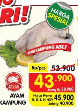 Ayam Kampung